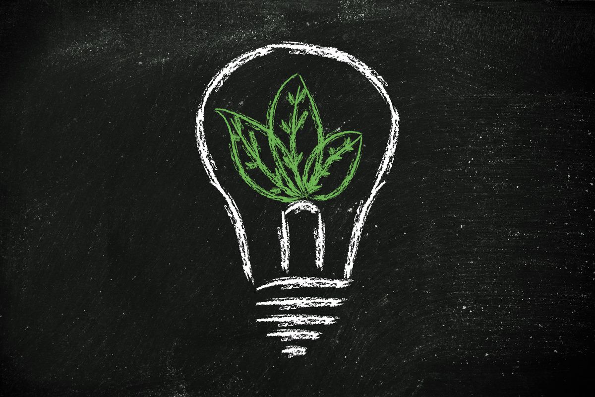 green economy, leaves growing around an idea