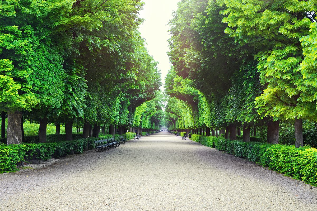 Schönbrunn entdecken
